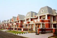 PATANJALI YOGPEETH, haridwar